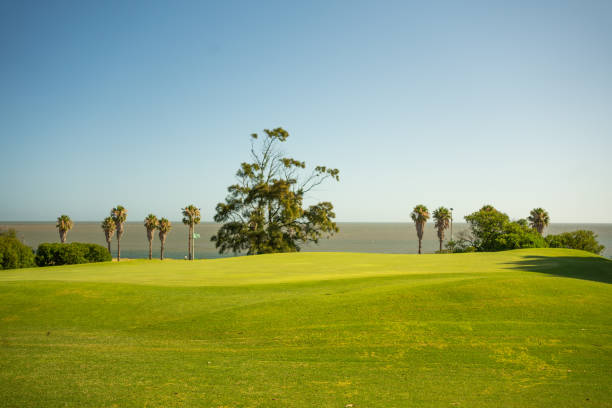 istock A panoramic photograph of a golf course with very smooth grass. 1989470025
