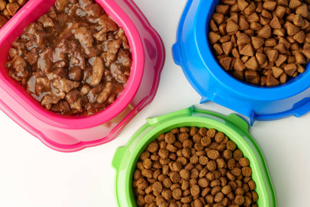 istock Plastic pet bowls with food isolated on white background 1989492163