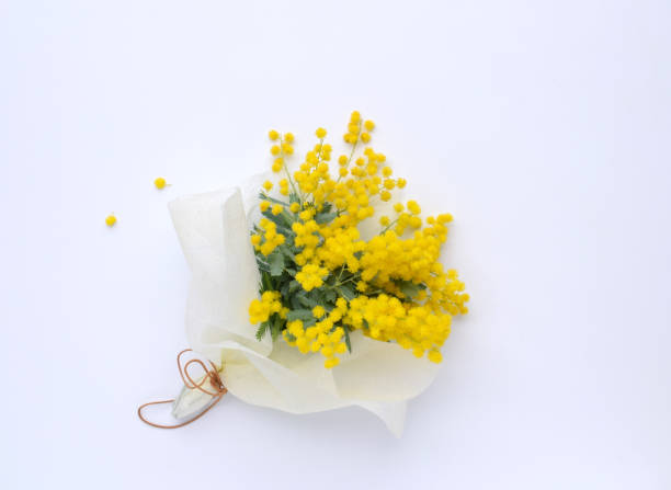 istock mimosa bouquet on white background. 1989492773