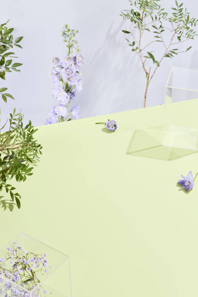 istock Minimalistic botanical setup with delicate purple flowers and acrylic blocks on a lime table 1989509063