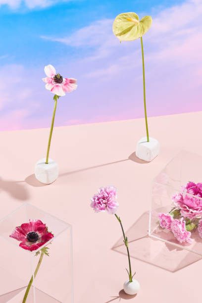 Surreal botanical composition against a sky-pink gradient, evoking a dreamlike quality for creative projects and seasonal themes