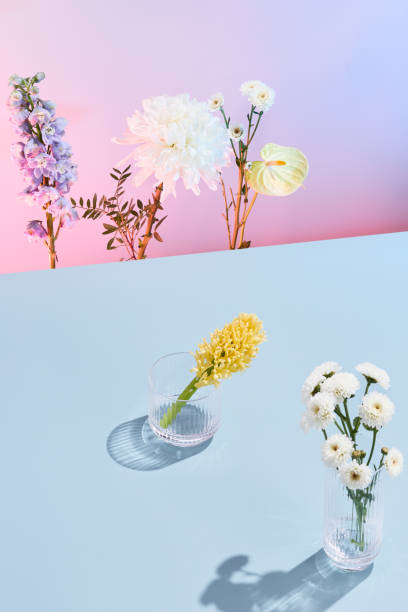 istock Artistic floral arrangement with pastel backdrop showcasing an array of delicate blooms in glass vases 1989509080