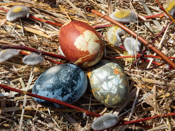 istock Naturally Dyed Easter Eggs, decorated with plants and flowers boiled with red cabbage, onion peels, hibiscus tea creating blue, brown and grey color 1989511231