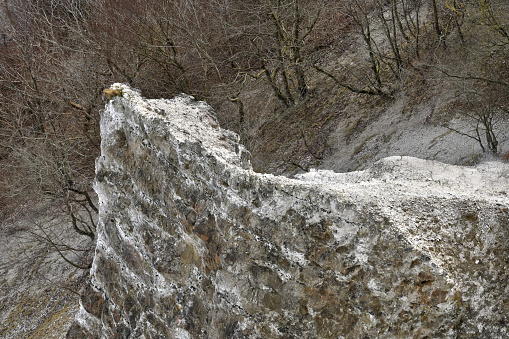 Famous white cliffs in Jasmund National Park