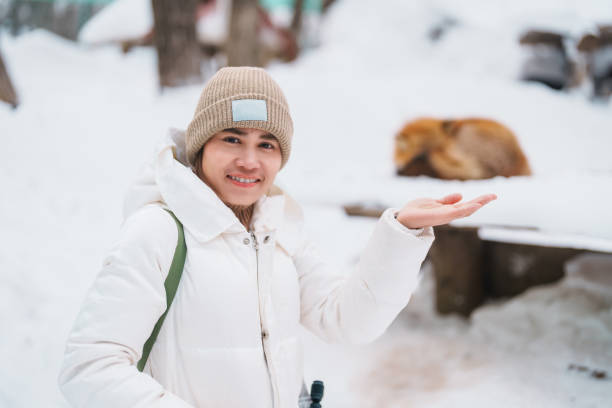 Woman tourist with Cute fox on snow in winter season at Zao fox village, traveler sightseeing Miyagi prefecture. landmark and popular for attraction near Sendai, Tohoku, Japan. Travel and Vacation turista con zorro lindo en la nieve en la temporada de invierno en la aldea del zorro de zao, viajero que hace turismo en la prefectura de miyagi. punto de referencia y popular para la atracción cerca de sendai, tohoku, japón. viajes y vacaciones