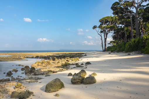 Lakshmanpur white sand beach and low tide at the tropical coast of  tropical Shaheed Dweep or Neil island in famous, scenic Andaman and Nicobar island archipelago, India