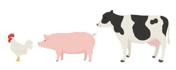 Vector illustration of Illustration of chicken, pig, and cow