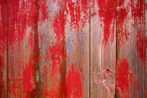 Shallow focus of a large wooden shed seen in a farm garden and lawn. The distance shows a large field with horses grazing.