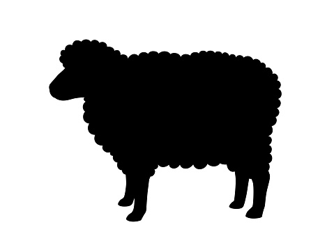 sheep silhouette