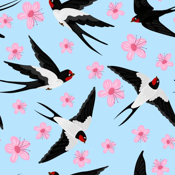 Vector illustration of Flying swallows. Bird in flight isolated on a white background. Vector illustration in a flat style.