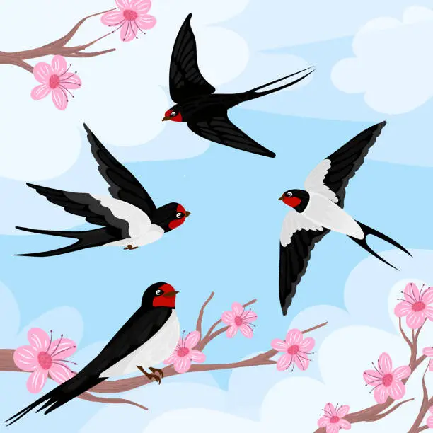 Vector illustration of Flying swallows delivering heart with love. Two bird in flight isolated on a white background.