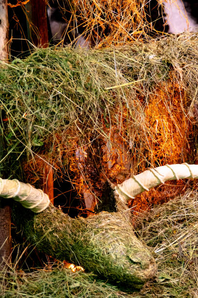 istock Animal head with horns made of straw. 1989598214
