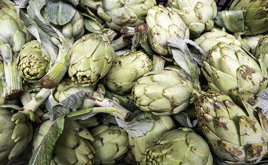 Healthy eating and lifestyle concept: A stack of fresh and organic artichokes on a wooden table in the garden. Natural food background with copy space.