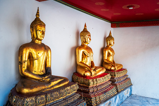 Golden shining buddha statues aligned at Wat Pho temple, Bangkok