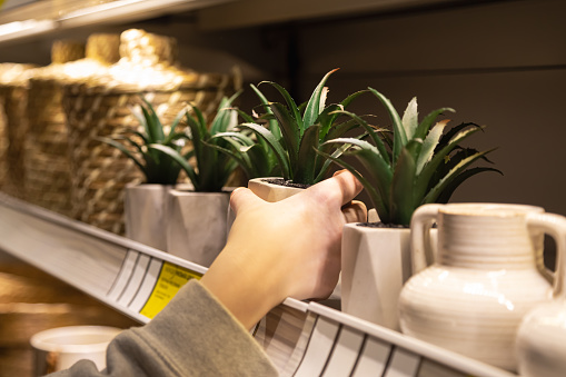 Close-up, ornamental plants for home decor in female hand on a shop window. Artificial green plant in pot display on rack for sale.