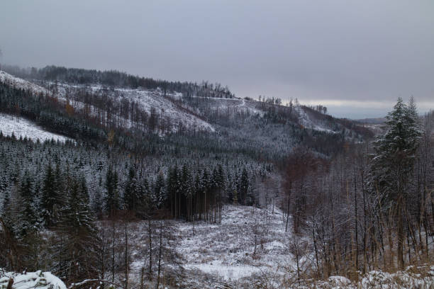 istock Snow-capped mountains in the Harz Mountains 1989684928