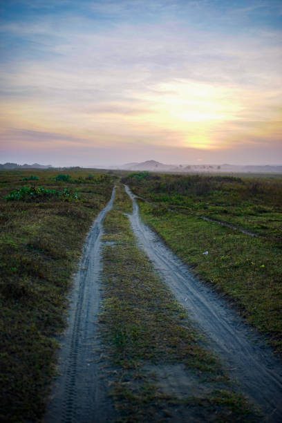 istock footpath with a former motorcycle trail in the afternoon 1989693342