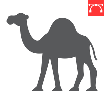 Camel glyph icon, zoo and animal, Arabian camel vector icon, vector graphics, editable stroke solid sign, eps 10.