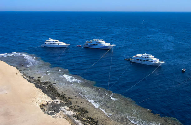 tourist yachts near the coastal reef of big brother island in the red sea, hurghada area - big brother stock-fotos und bilder