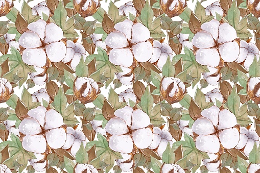 Floral seamless pattern. Cotton blossom flowers with greenery branches. Hand drawn illustration, botanical background. Design for textile, wedding invitations, wrapping paper, wallpaper.