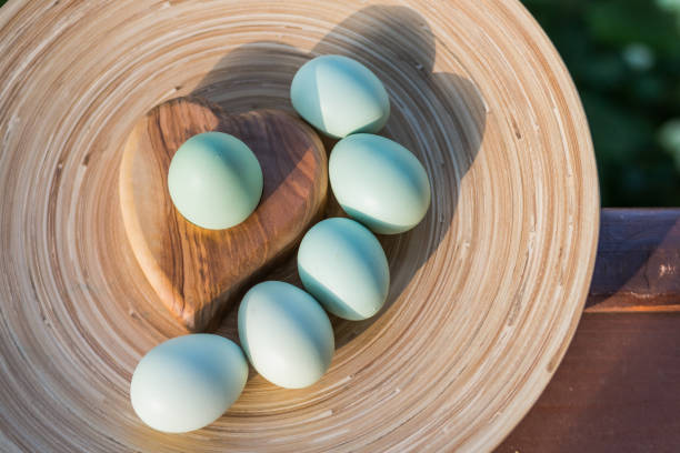 Traditional easter eggs painted in blue color