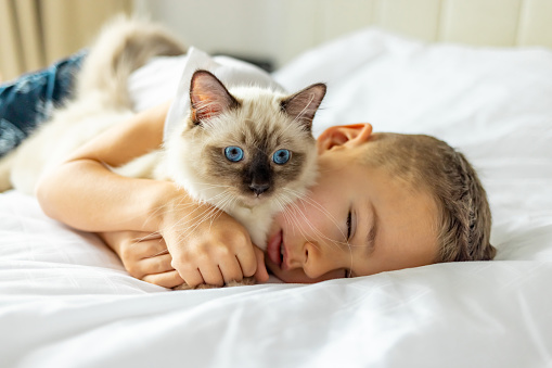 Loving boy cuddling a kitten in bedroom.