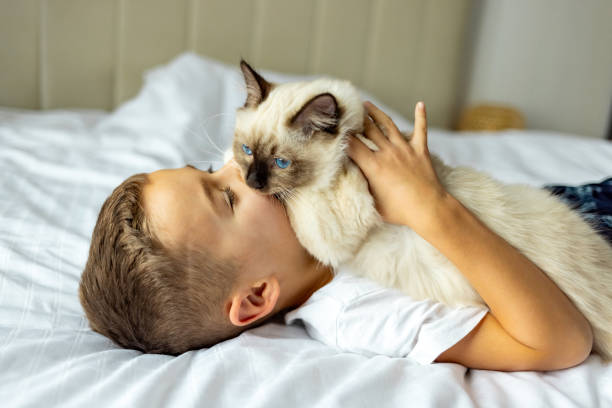 istock Funny Little Boy Cuddling Kitten Lying in a Bed. 1989777830