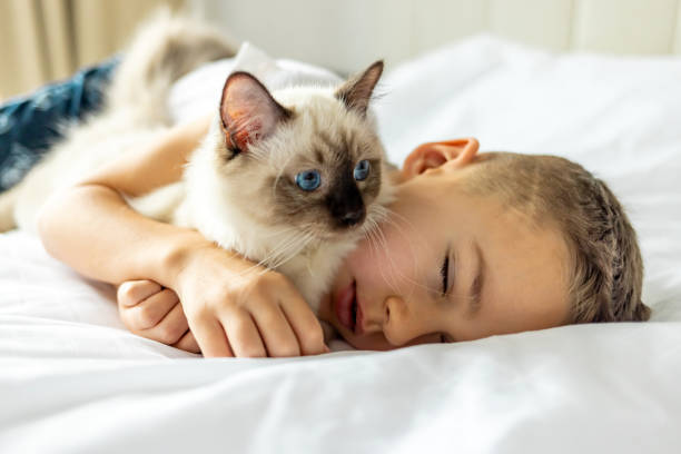 istock Loving boy hugging his kitten at home during the day. 1989777832