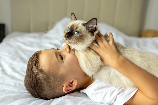 Young boy being comforted by holding his cat in bedroom.