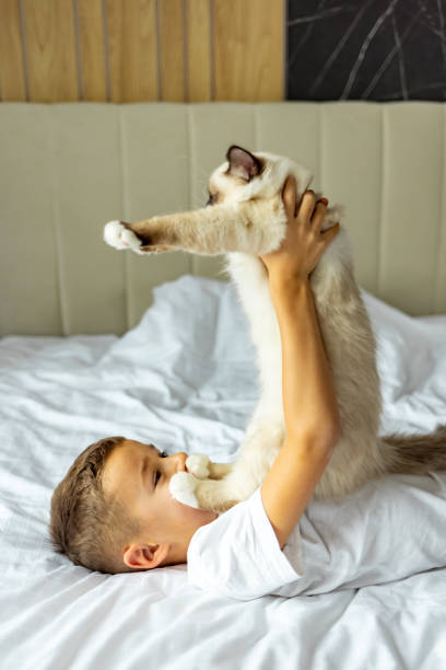 istock Boy with a kitten while relaxing in bedroom 1989778358