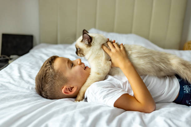 istock Happy boy playing with little kitten. 1989778359