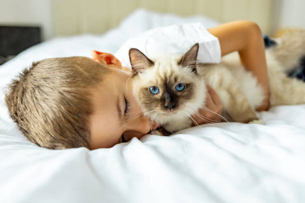 istock Loving boy cuddling a kitten in bedroom. 1989778877
