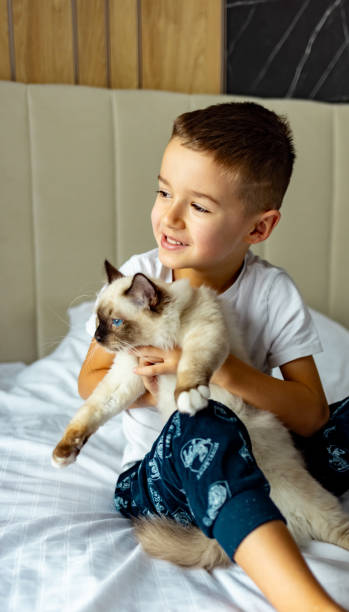 istock Boy Hugging Kitten in bedroom. 1989778904