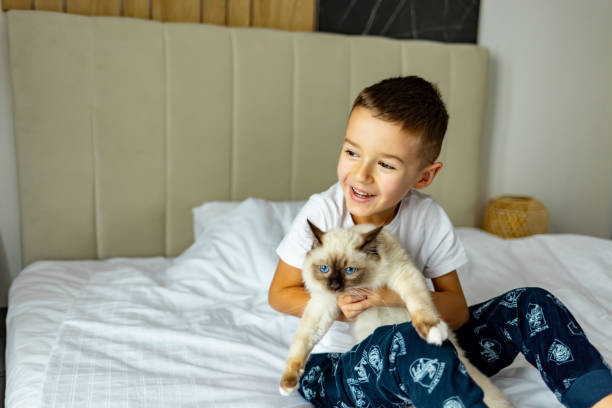 istock A child hugs an eight weeks old cat. 1989779412