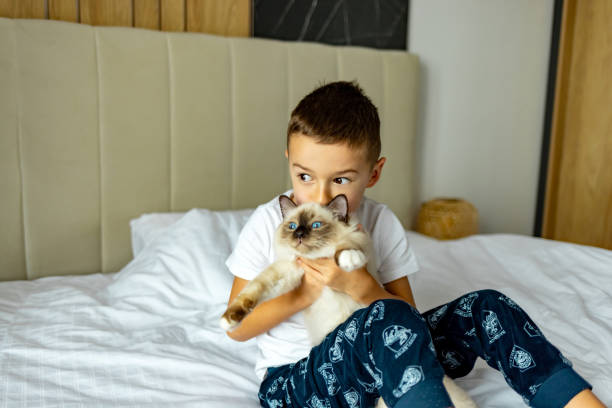 istock Friendship between boy and fluffy pet. 1989779988