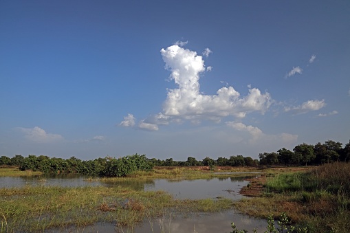 clouds over marshland\n\nJanikura marsh, Ghana, Africa.       November