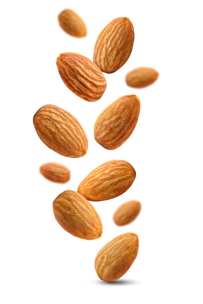 istock Almond nuts isolated on white background. Almond fly. 1989786414