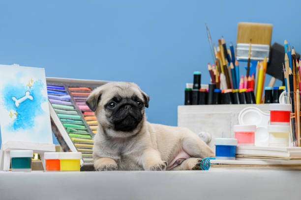 pug puppy with art supplies: easel, pastels and pencils