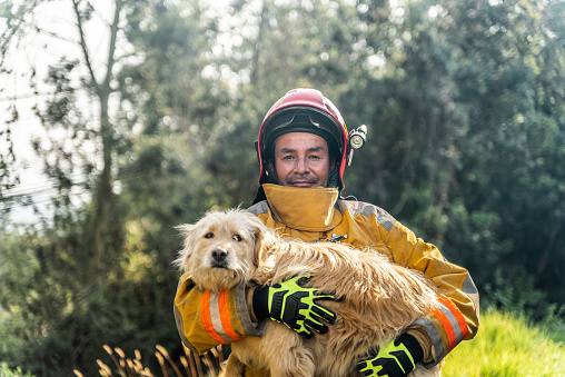 Portrait of a mature fireman holding a rescued dog outdoors