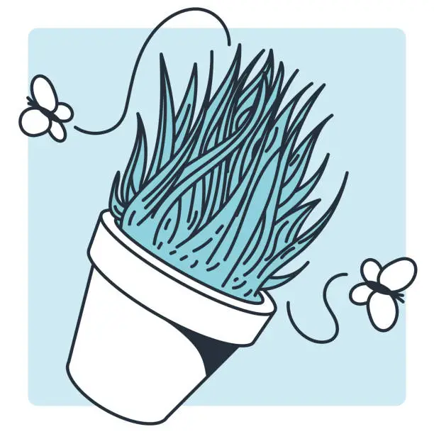 Vector illustration of Poy Plant