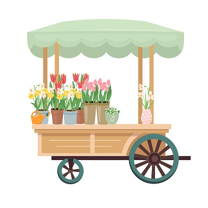 Flower market cart with early spring garden flowers in pots. Floral design elements for mother's day, Valentine's Day, birthday. Vector illustration style isolated on white background