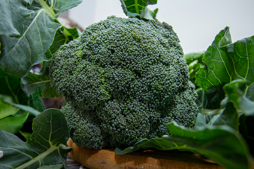 Fresh cut broccoli that makes a pattern