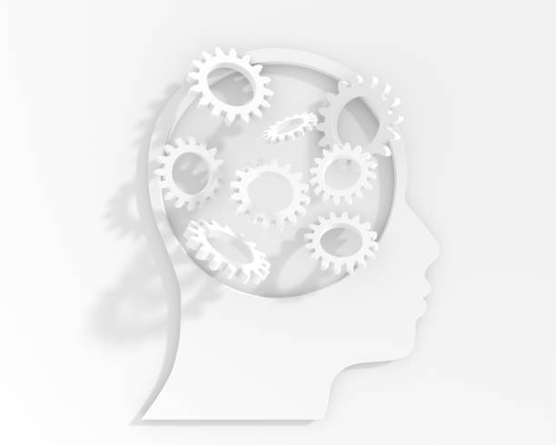 istock Human head with gear wheels inside. Productivity, effectiveness concept. Intelligence and knowledge development with brain performance. Gears and technical wheels as thoughts. 3D render 1989860246