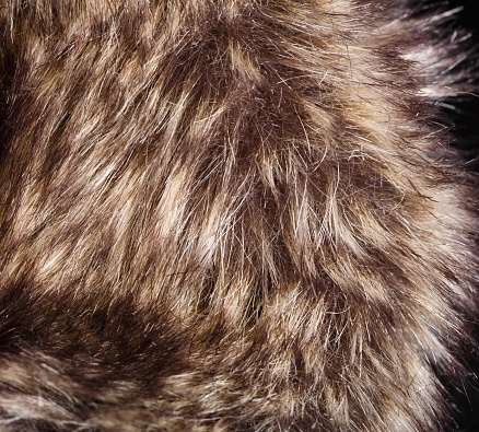 texture of fur. Red Brown Grey Wolf, Fox, Bear Fur Natural, Animal Wildlife Concept and Style for Background, textures and wallpaper. Macro Brown fur