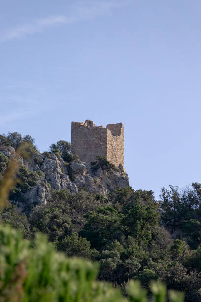 torre castel marino w parku narodowym alberese. - castel zdjęcia i obrazy z banku zdjęć