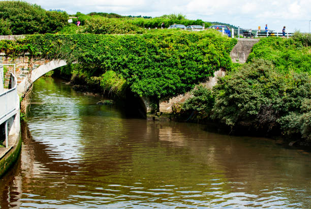 Gorey, Ireland - 23 August 2017. Small river Banoge in Gorey in Co. Wexford, Ireland
