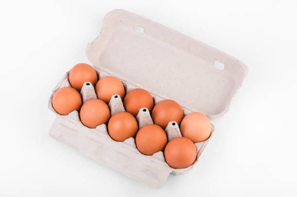 brown eggs on white background
