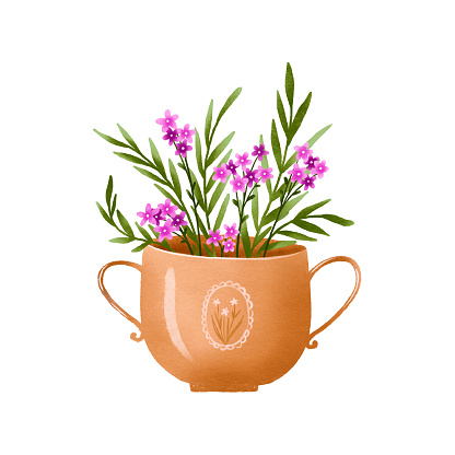 Branches of pink flowers and decorative leaves in a wide brown porcelain vase. Bouquet in a vase. Hand drawn illustration on isolated background