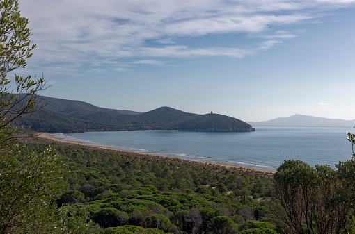Landscape of the south beach at the national park of Alberese in Maremma, Grosseto, Italy.