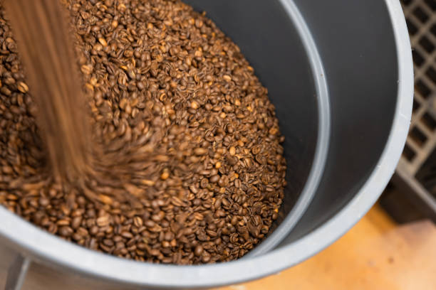 istock Roasted arabica coffee beans just after roasting 1989974818